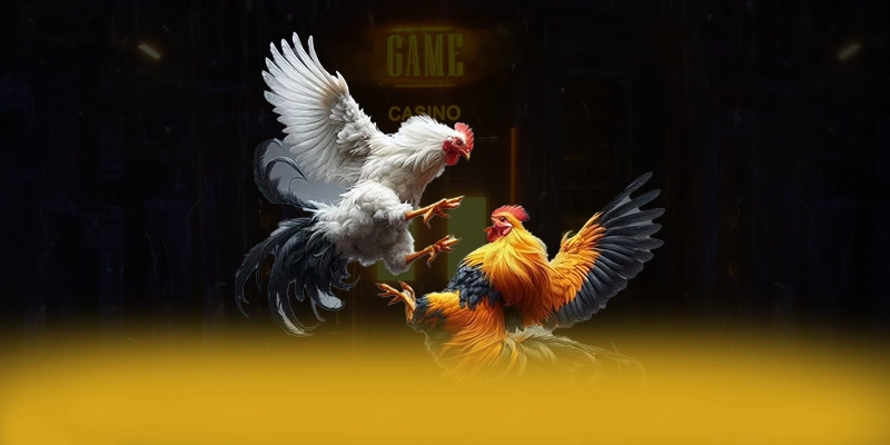 FC88 - Thương hiệu game trực tuyến được cộng đồng yêu thích nhất được yêu thích nhất – Tìm hiểu thêm về các sản phẩm của FC88