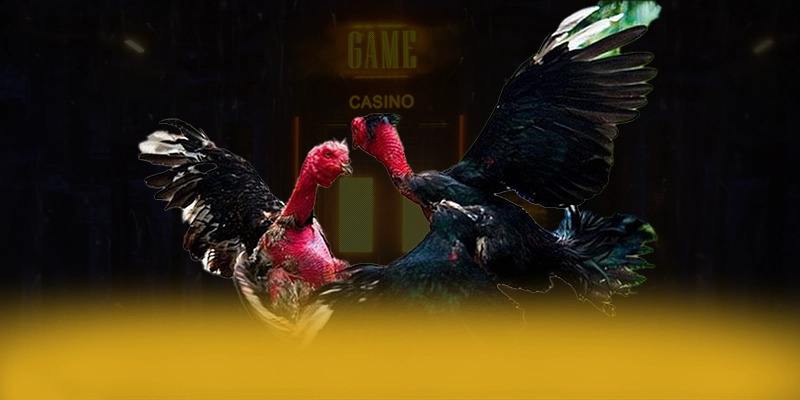 Uk88 - Cổng game được đánh giá cao về chất lượng tại Việt Nam – Khám phá những game hot đến từ Uk88