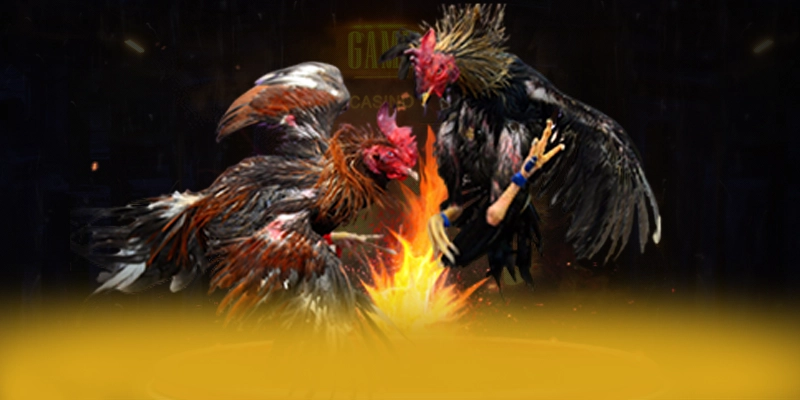 N88 - Đánh giá tổng thể từ cộng đồng game thủ.