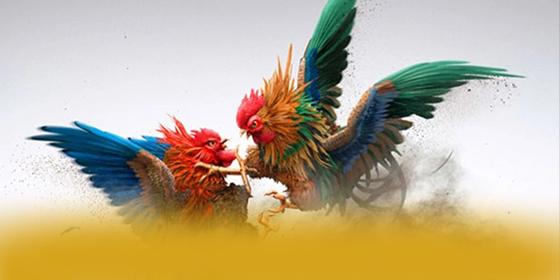 SUNWIN - Sảnh game ưu đãi khủng được giới cược thủ đánh giá cao – Tìm hiểu SUNWIN