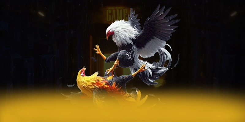 W88 - Cổng trò chơi hiệu năng vượt trội được quan tâm hàng đầu W88 - Cổng trò chơi hiệu năng vượt trội được quan tâm hàng đầu