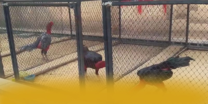 WIN79 - Thương hiệu mang đến trải nghiệm giải trí đỉnh cao được đánh giá cao – Khám phá top WIN79 WIN79 - Thương hiệu mang đến trải nghiệm giải trí đỉnh cao được đánh giá cao – Khám phá top WIN79