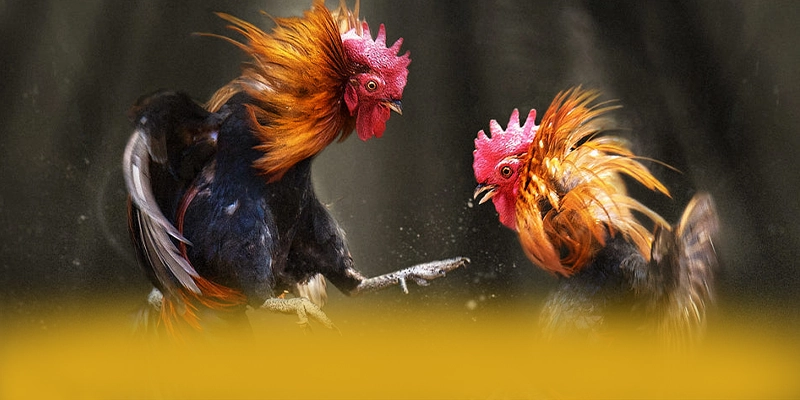 RR99 - Cổng trò chơi được đánh giá cao về chất lượng được yêu thích nhất – Trải nghiệm siêu phẩm độc quyền tại RR99