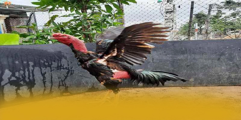 
Khám phá thế giới của UU88 - Sảnh game chất lượng 2025
