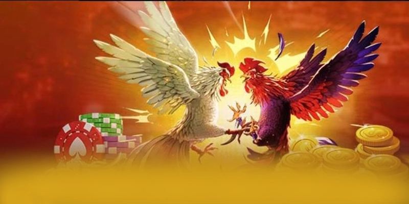 B52 - Trang game hấp dẫn được quan tâm nhất – Khám phá chính sách thưởng tại B52 B52 - Trang game hấp dẫn được quan tâm nhất – Khám phá chính sách thưởng tại B52