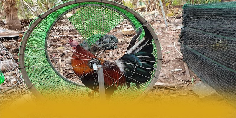 FC88 - Kết luận tổng thể về nền tảng này với đầy đủ ưu điểm nổi bật.