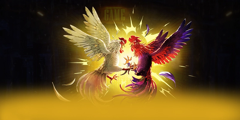 NK88 - Thương hiệu game trực tuyến mang đến trải nghiệm giải trí đỉnh cao được giới cược thủ tin tưởng – Khám phá top NK88